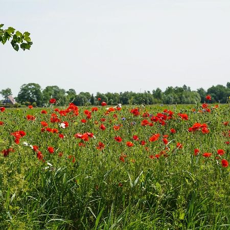 Gastenverblijf Eenigenburg Esterno foto