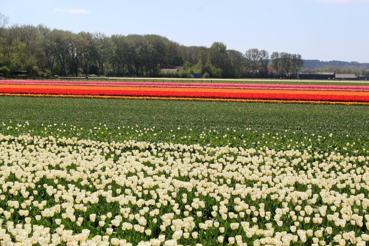 Gastenverblijf Eenigenburg Esterno foto